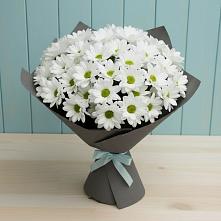 Букет цветов из:  Хризантемы #REPLACE_PRED# Советской Ростовской области