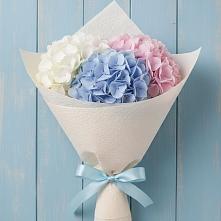 Букет цветов из:  Гортензия в Советской Ростовской области