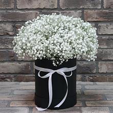 Цветочная композиция из Гипсофила в шляпной коробке #REPLACE_PRED# Советской Ростовской области