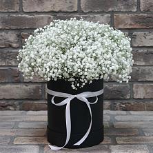 Цветочная композиция из Гипсофила в шляпной коробке в Советской Ростовской области